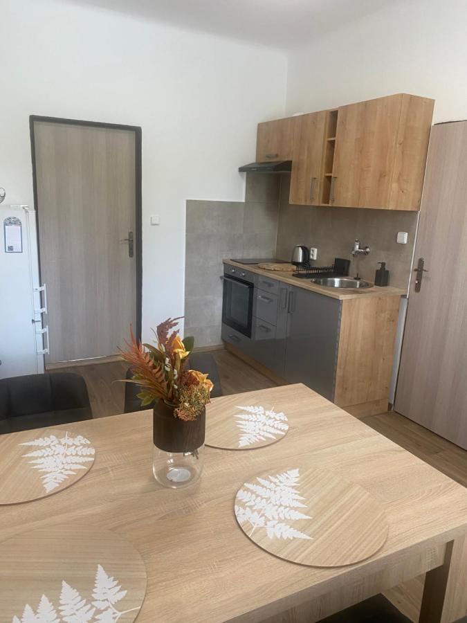 Cerna Ruze - Apartman 3 Plzen Ngoại thất bức ảnh